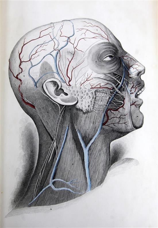 Lizars, John - A System of Anatomical plates of the Human Body,